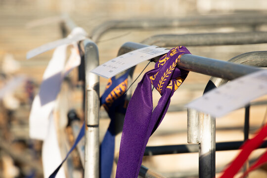 Ribbons tied on the fence at a local show