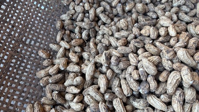 piles of harvested peanuts for food use