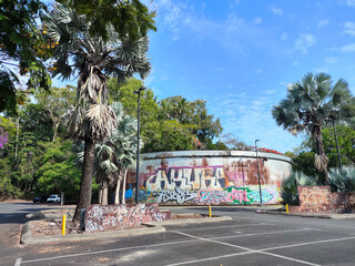 Palm trees frame a mural-covered cylindrical tank at the Tanks Arts Centre landmark on November 2, 2024 in Cairns, Australia. © sorao.211(T.SAWADA)
