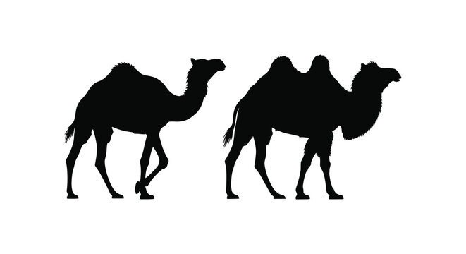 Camel Silhouettes On White Background Minimalist Animal Shapes