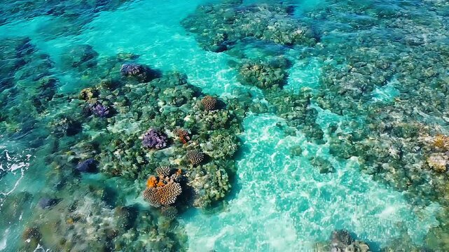 Aerial Top Down View of Crystal Clear Turquoise Ocean Water with Beautiful Coral Reef and Underwater Rocks Scenic Tropical Nature Background