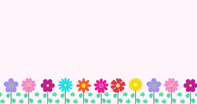 Colorful floral vector animation with a soft pink background and copy space.