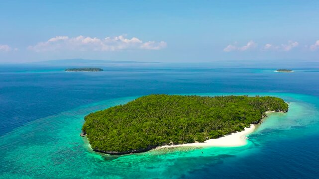 Tropical island on the attole, top view. White sandy beach with palm trees. Mahaba Island, Philippines. advertising concept
