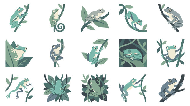 Green tree frog illustrations in natural poses
