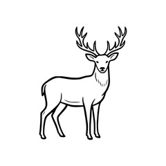 Fototapeta premium Majestic deer standing in profile view.