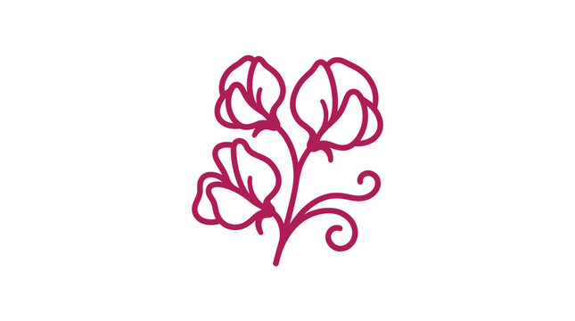 Pink sweet pea flower outline icon