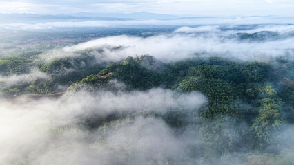 Obraz premium Aerial view of mountains and forest on cloudy morning by drone