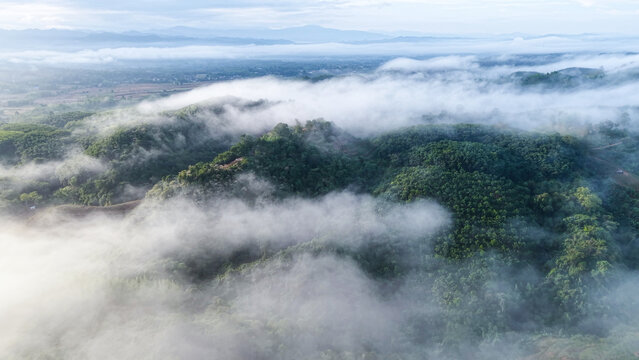 Aerial view of mountains and forest on cloudy morning by drone