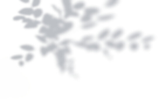 Sunlight and leaf shadow overlay pattern on white background.