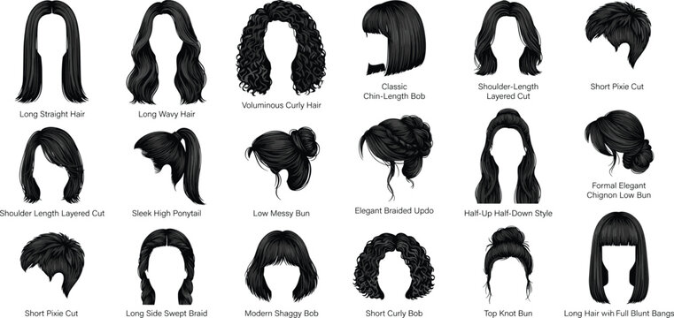 Collection of Black Silhouettes of Various Women's Hairstyles with Labels Keywords: hairstyle, hair, women, female, style, cut, long