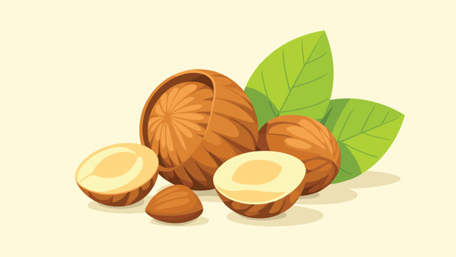 Raw hazelnuts with shells and halves beside green leaves vector illustration on a clean soft cream backgrounds.