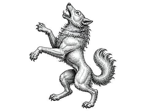 Heraldic Wolf Rampant Illustration.