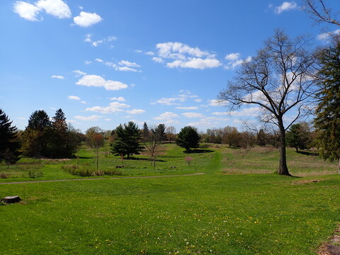 Stark Parks, Tam O'Shanter Park, hiking trails in the April, 2024 in the spring on a sunny day with clouds in Canton, Ohio