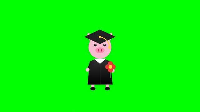 Cute Pig Character Graduation Animation Design Featuring Academic Gown and A Pretty Red Flower