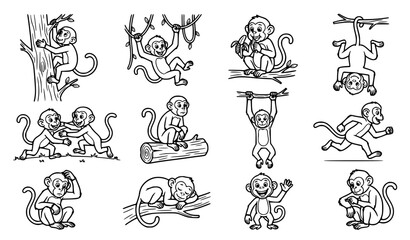 Cute monkey cartoon coloring book character set playing hanging climbing trees vector illustration line art isolated © MDSHAKIP