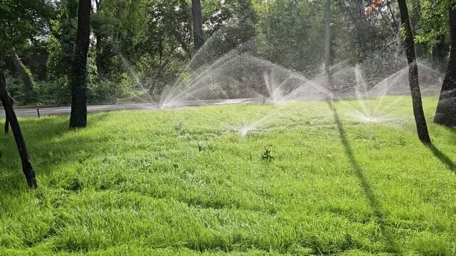 Wide-angle shot of multiple automated sprinklers spraying jets of water over a vibrant green lawn in a city park. Sunlight illuminates the water streams and lush grass.