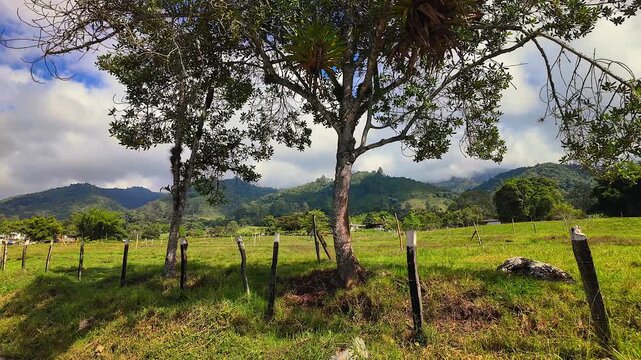 scenic country road with green pastures and mountain views under blue sky