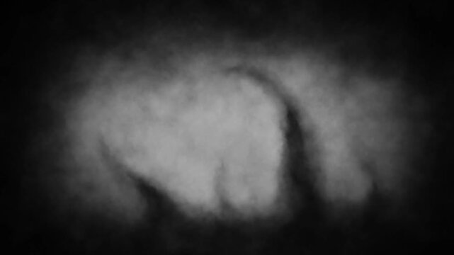 Horror fantasy 2D animation for Halloween. Scary night atmosphere. A creepy animated short video clip. Dark Vj loops. Black and white background.