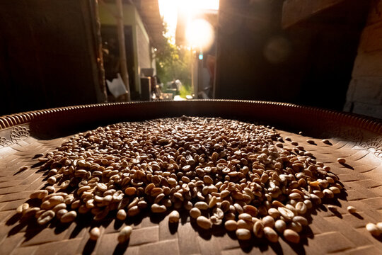 Low-angle close-up of raw coffee beans resting on a traditional woven bamboo winnowing tray.