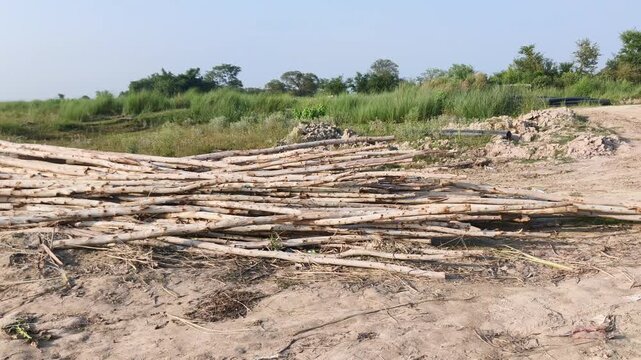 Dried logs arranged in a semi-circle on dry, sandy ground with sparse vegetation and distant trees.