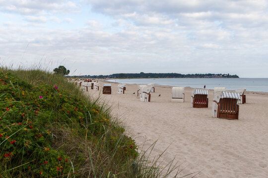 Row of traditional beach chairs on Sehlendorfer Strand with Hohwacht resort in the background under a blue summer sky, Baltic Sea, Germany