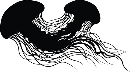 Black jellyfish silhouette vector illustration with flowing tentacles isolated on white background for marine wildlife, ocean, and aquatic design © Ashrat