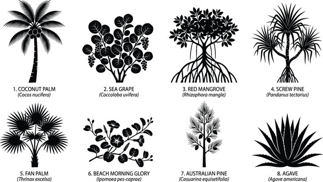 Coastal and tropical plants vector icon set featuring black silhouettes of palm trees mangrove agave and beach flora