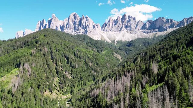 Mountains of the Dolomites in Italy with forest