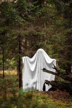 Ghost hidden under white sheet standing in deep forest. Person in halloween costume posing in woods. Spooky spirit character for celebration, horror legend and mysterious theme.
