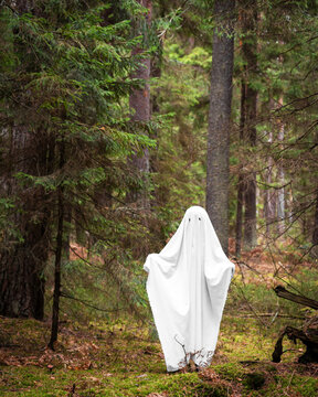 Person in white sheet as ghost standing in forest. Halloween costume idea for party. Spooky creature in woods. Fun creative holiday activity for celebration or themed photoshoot event.