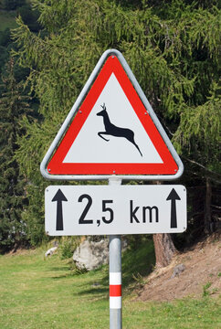 roe-deer pass sign nearby a forest