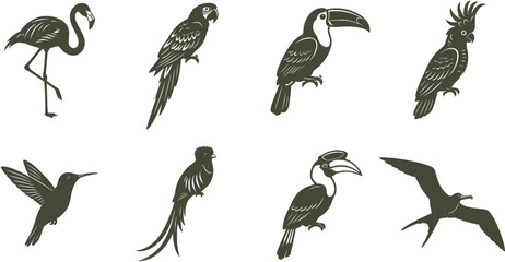 Eight Tropical Bird Silhouette Icons Vector Set In Black And White © R shop