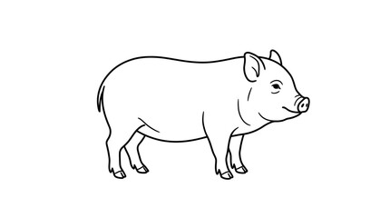 Fototapeta premium Standing pig farm animal simple line art.