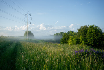 Obraz premium Power line crossing a foggy green meadow with vibrant grass and summer trees under a clear blue sky, illustrating rural infrastructure and natural landscape at dawn