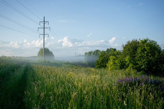 Power line crossing a foggy green meadow with vibrant grass and summer trees under a clear blue sky, illustrating rural infrastructure and natural landscape at dawn