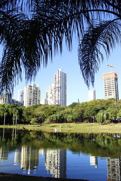Fotografia do Parque Vaca Brava em Goiania. Muito arborizado com lago, predios e c&eacute;u azul ao fundo. Imagem vertical.