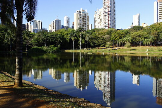 Paisagem do Parque Vaca Brava em Goiania, com um lago de &aacute;guas l&iacute;mpidas, muitas &aacute;rvores e predios ao fundo em um dia de ceu azul.