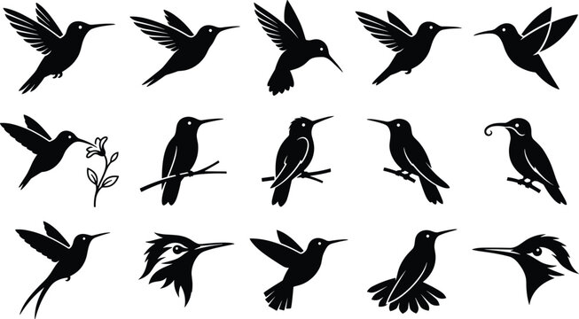 Hummingbird Silhouette Vector Bundle Featuring Little Exotic Birds Flying and Perching for Nature Logo Elements Minimalist Tattoos and Elegant Graphic Designs