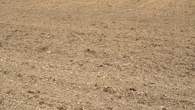 Dry earth showing parched soil and barren ground