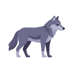 Obraz premium Gray wolf, side view, colorful vector icon