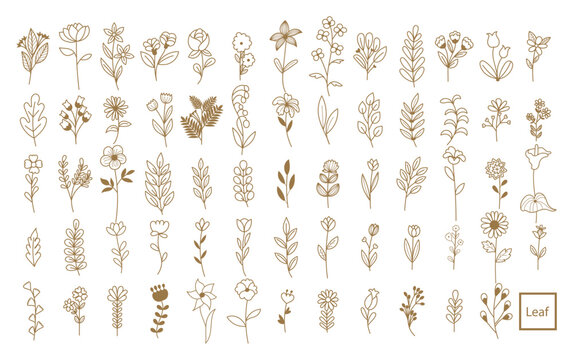 Gold leaves and vintage flowers decorative elements.