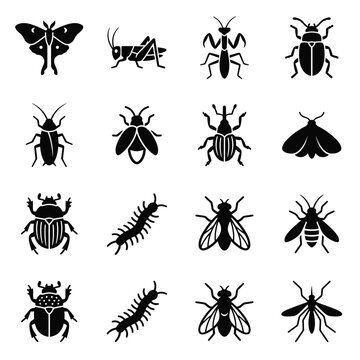 Insects Glyph Icons Set Featuring Beetle Moth Grasshopper Praying Mantis Cockroach Mosquito Fly Bee Centipede Vector Silhouettes