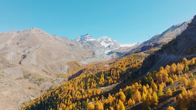 Aerial drone view of a colorful autumn forest in the Swiss Alps on a bright sunny day. Scenic alpine mountain landscape with autumn foliage.