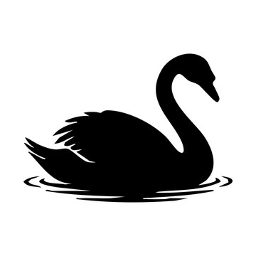 vector silhouette of a swan
