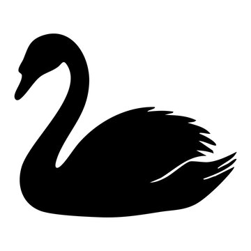vector silhouette of a swan