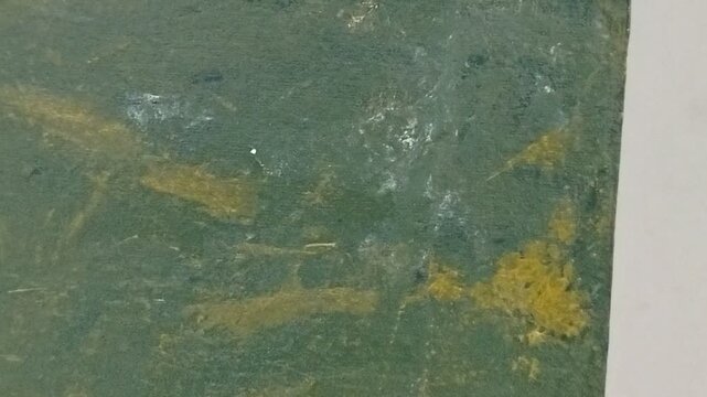 Dark green abstract painted canvas with rich textured brush strokes and natural earthy tones. Perfect for contemporary backgrounds, artistic compositions, branding materials, interior design concepts,