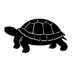 Fototapeta premium Turtle vector silhouette