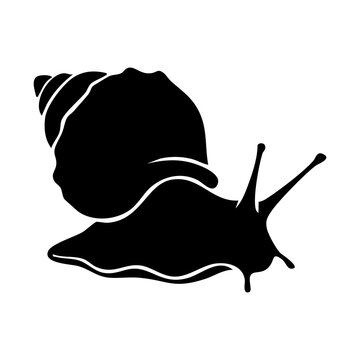 Snail vector silhouette