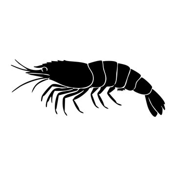 Shrimp vector silhouette