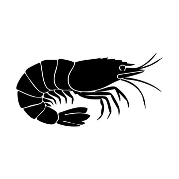 Shrimp vector silhouette